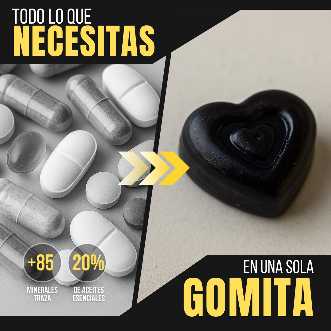 RECUPERA TU VITALIDAD TOTAL CON EL PODER DEL SHILAJIT